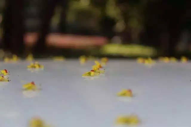 婚姻的三大基础是什么，婚姻稳定的三要素