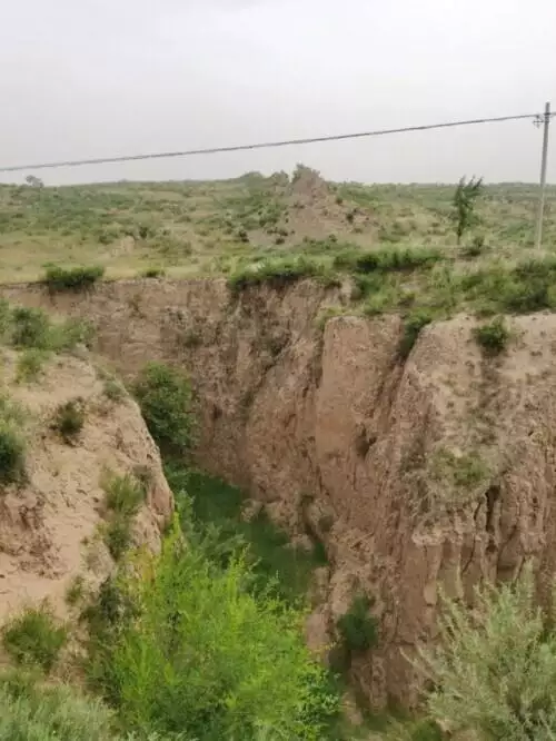 998属虎城墙土命运，我属虎城墙土命好不好"