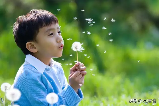 明年怀孕后年生虎宝宝好吗，几月怀孕生虎宝宝