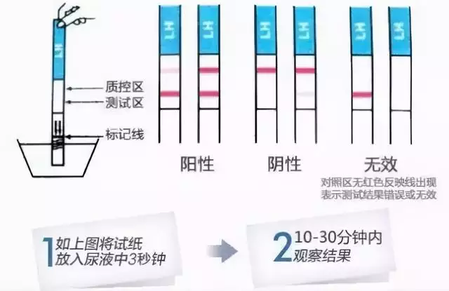 早孕试纸看男女第二道，试纸一深一浅生了男孩