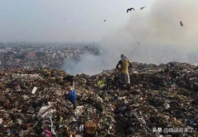 986年出生人是什么命，属猪女什么命运"