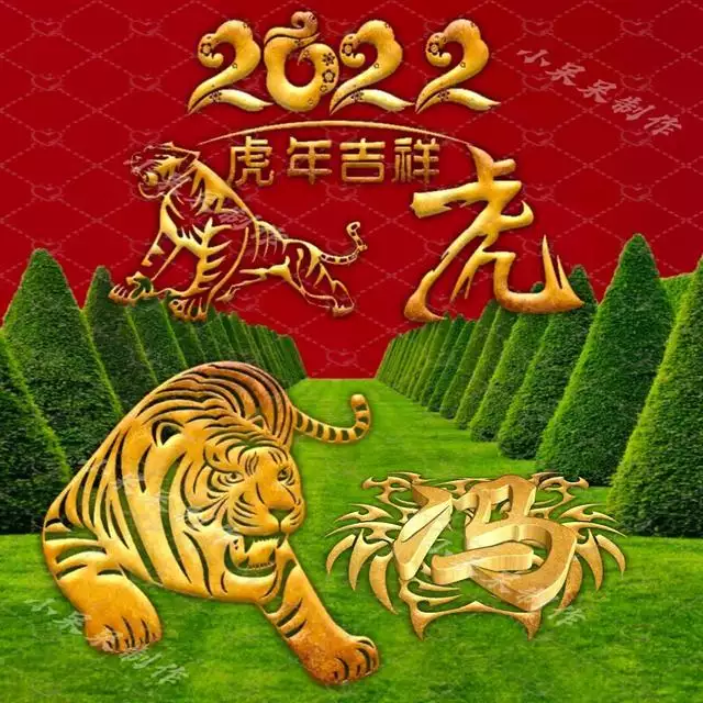 022年属虎的怎么样，2022年属虎出生的人好不好"