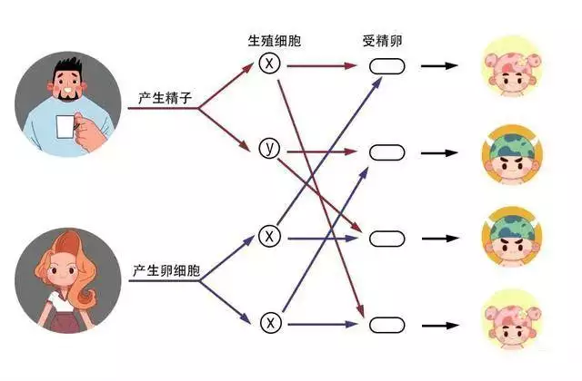 虎怀孕几个月就可以生产，蛇怀孕几个月才出生