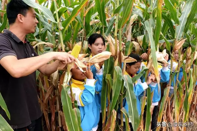 022年生虎几月怀孕比较好，2022年怀孕的生肖"