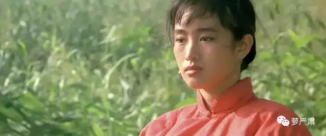 010虎女是什么命，1984年是什么命"