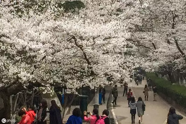 属虎男什么性格，属虎男主动联系一个人