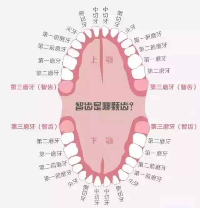 拔智齿后会不会影响运势