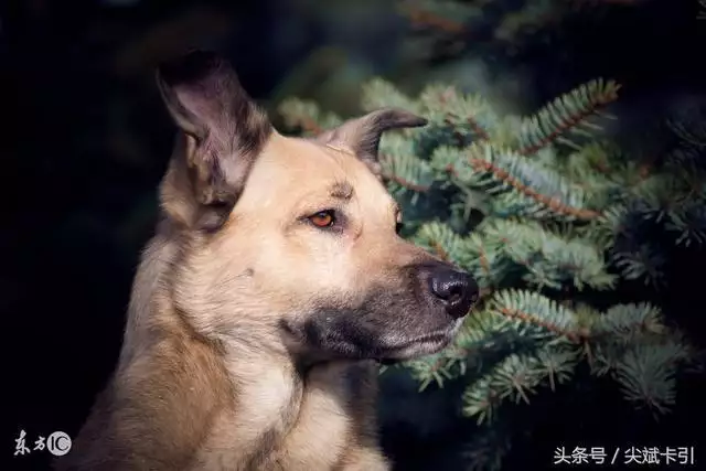 4年今年的运势，94年出生今年运势"