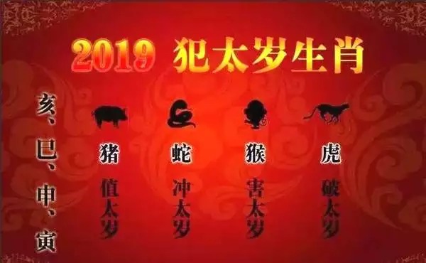 3、属蛇的全年运势:属蛇的今年运势