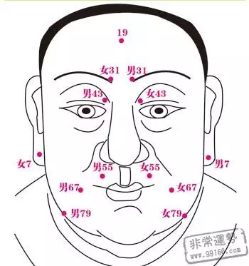 2、兔头虎尾人的命格运势:请高人看下我的命格和运势,最近两年很不顺