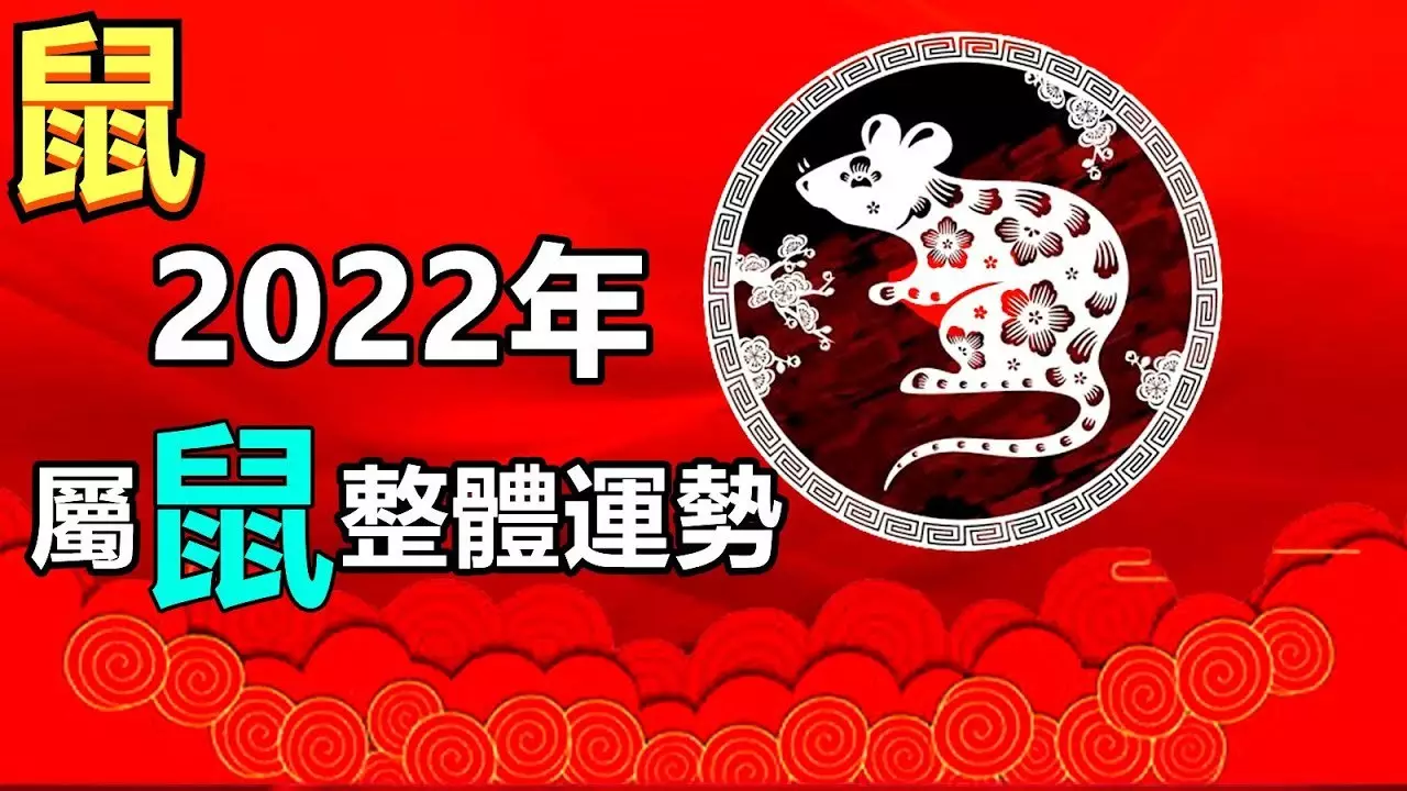 2、属鼠年的运势详解:属鼠年运势及运程每月运程