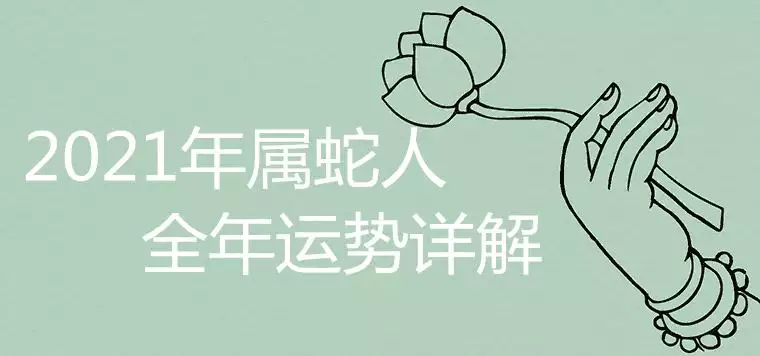 6、年属蛇人的全年运势女性:蛇人全年运势如何