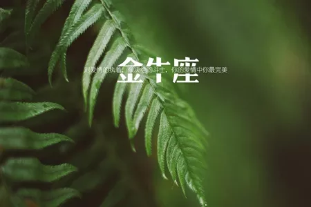 4、天蝎九月运势:属鼠天蝎座全年运势