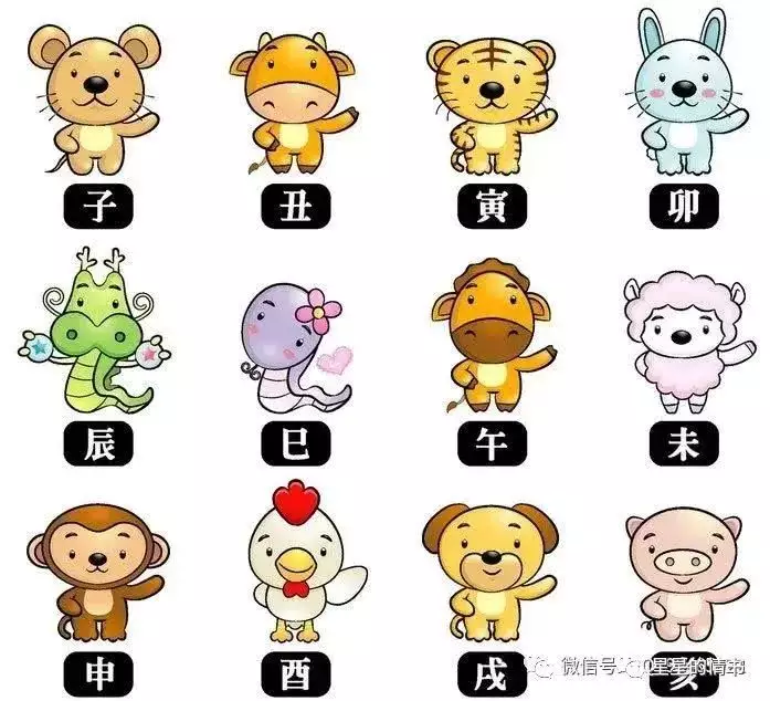 1、12生肖运势:十二生肖今年的运势