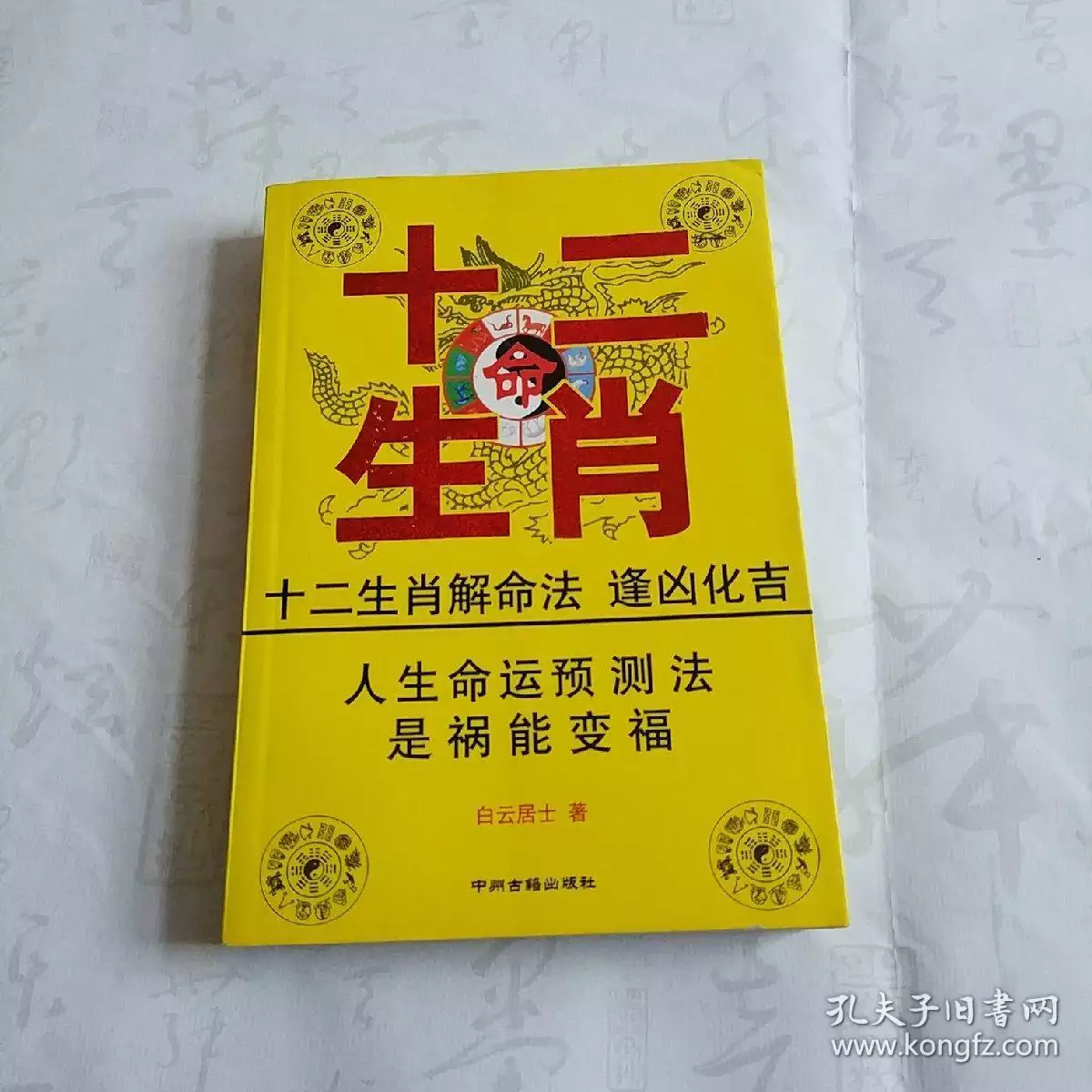 1、十二生肖的感情运势:十二生肖爱情运势的生肖马