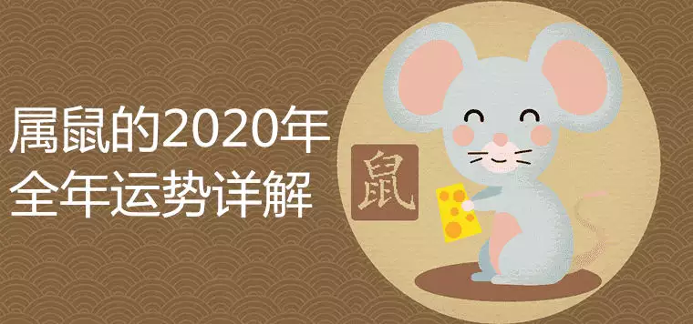 2、属老鼠今年运势:属鼠人年运势