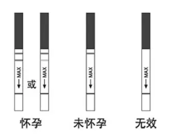 4、急啊！惠知早早孕试纸先白板几分钟出现灰印然后消失是怎么回事啊？