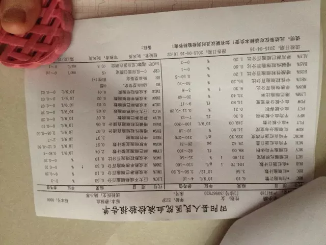 4、国内验血元查男女:国内哪里可以验血检测男女性别40多天要多少钱