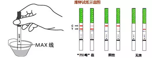 3、测孕纸怎么看怀孕图解:早孕试纸如何看