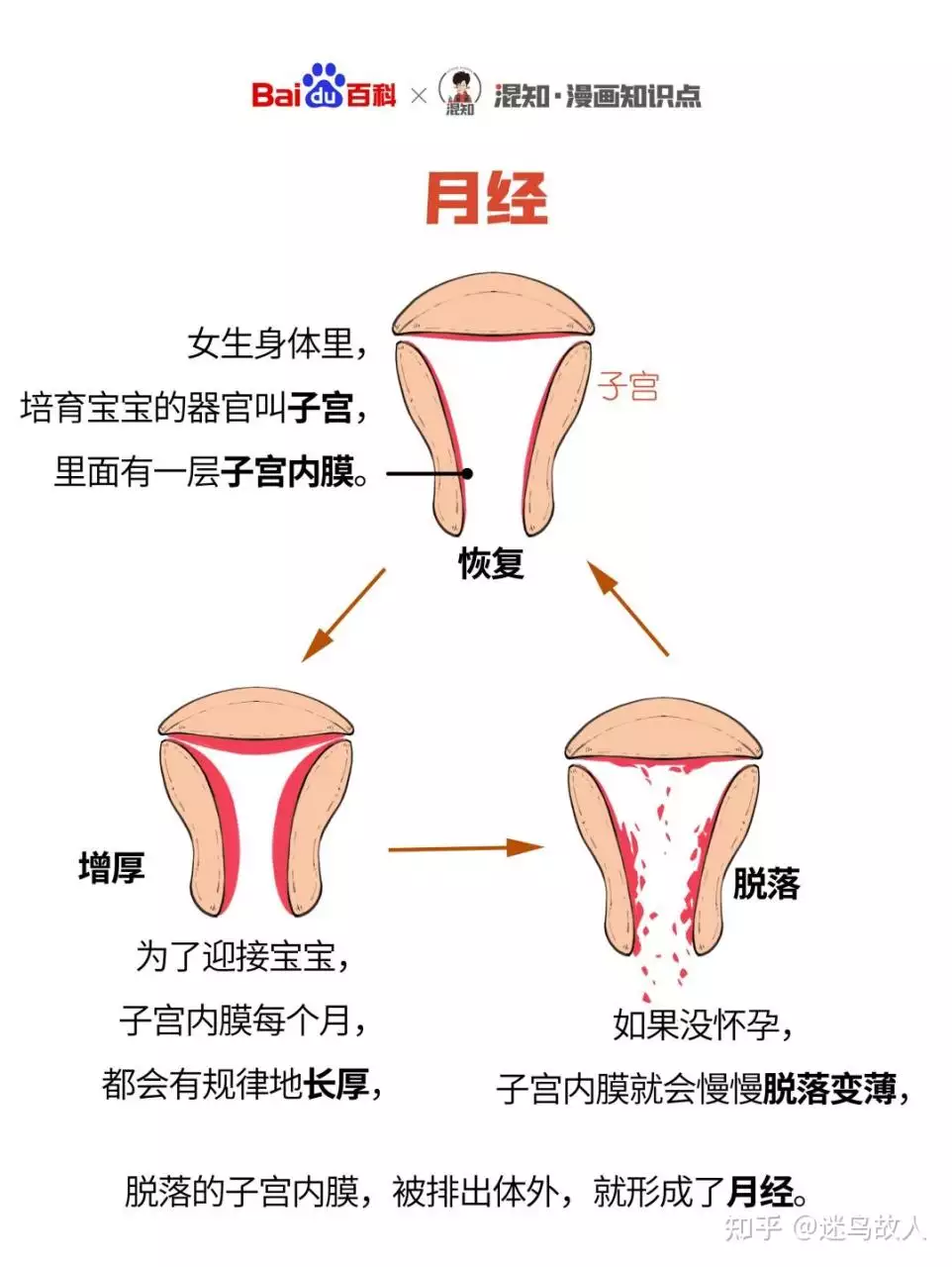 1、怎么分辨推迟和怀孕:按大拇指经有什么原理