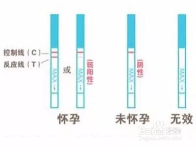 3、试纸多久能测出来怀孕:早孕试纸几天能测出怀孕？