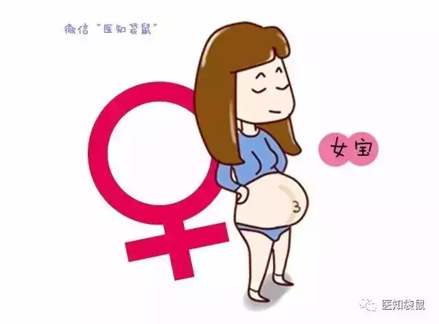 2、为什么总怀女孩怀不上男孩:为什么有人很难怀上男孩