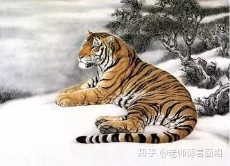 4、虎猪6合解释:虎猪是什么意思？