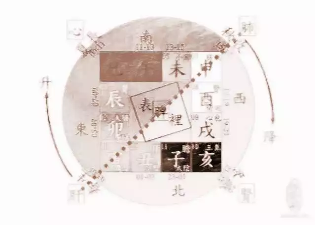 1、辰时出生的人命运:年猪年辰时出生的人的命运如何?