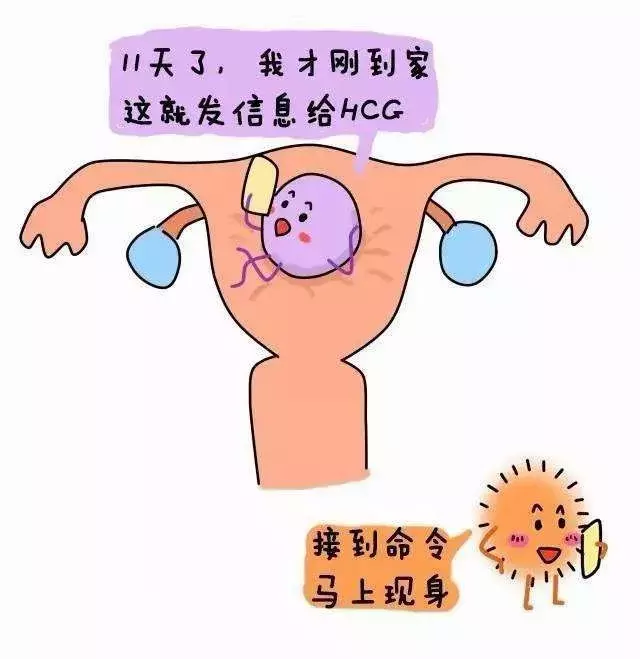 6、免费算命自己何时怀孕:算命先生说我没有子女缘我应该要相信科学吗