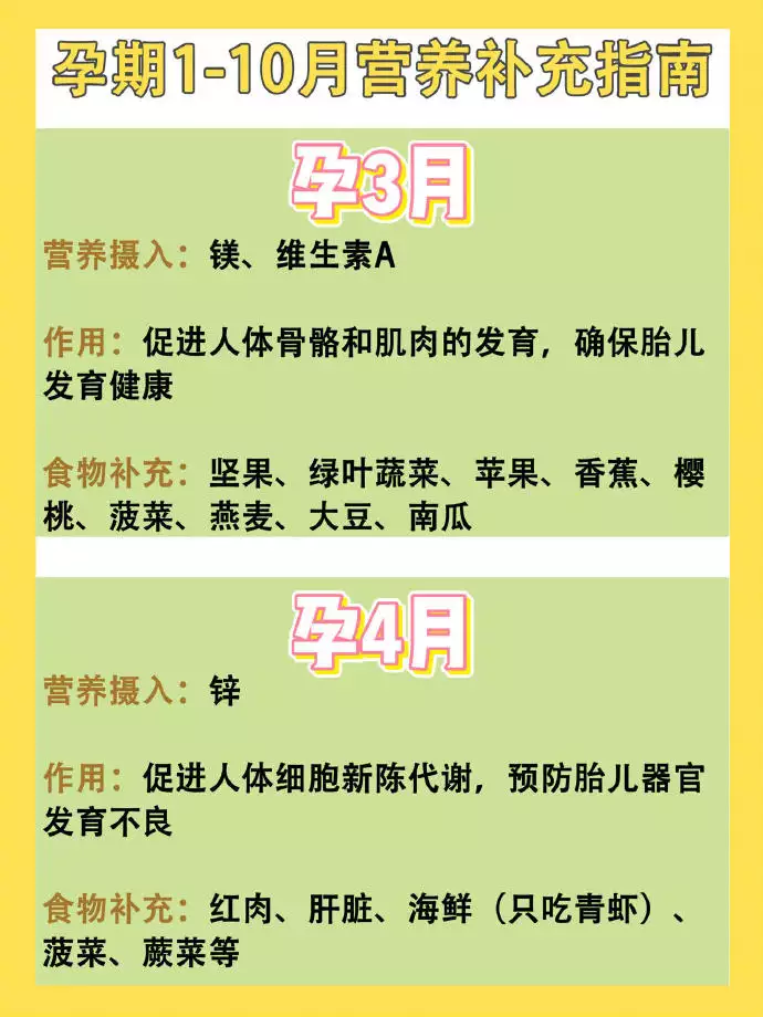 6、想要年兔宝宝几月备孕:年兔宝宝几月出生