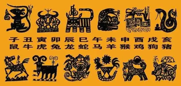 9、十二生肖的真实图片:十二生肖的图像