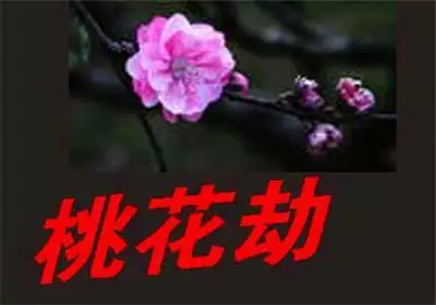 5、属虎年桃花劫在几月:属虎年运势如何