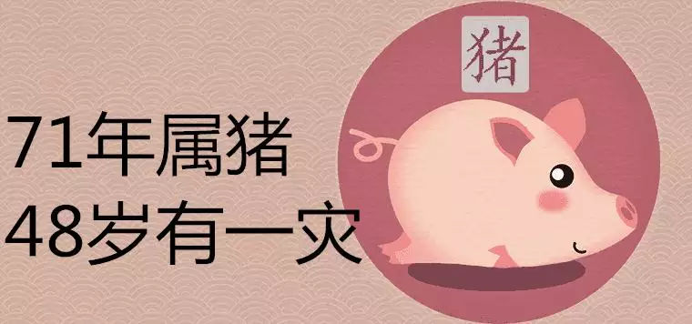 1、年属猪未来5年运势:年属猪年运势及运程？