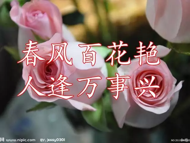 3、桃花运伴随官运:一个人除了财运,官运,桃花运,还有些什么运?求祥解