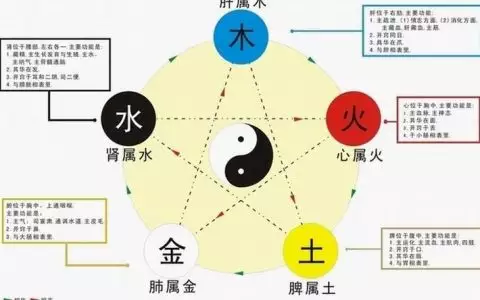 3、滔算命网运势查询:梦见和异性邻居一同去赶文化考试？