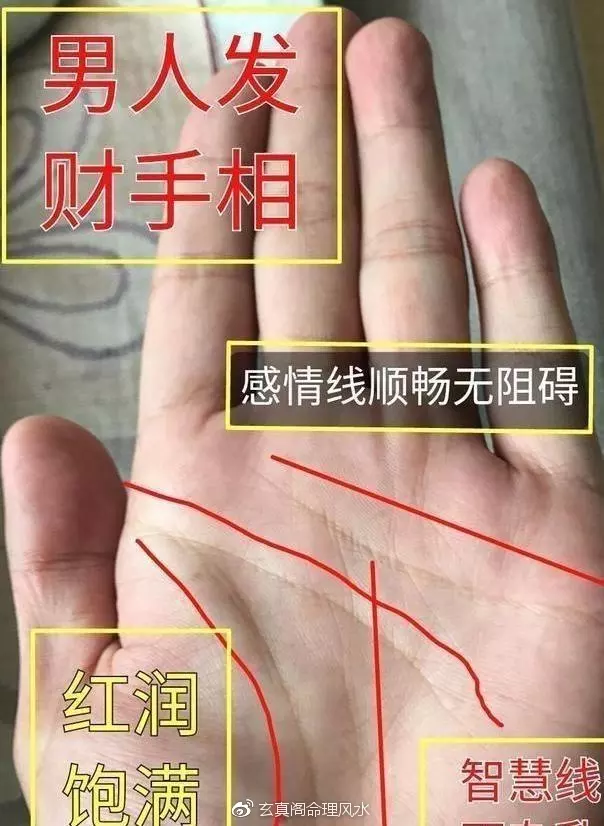 5、男人手相图解大全:我是男生,怎么从手相上看有没有儿子的命?有图吗?