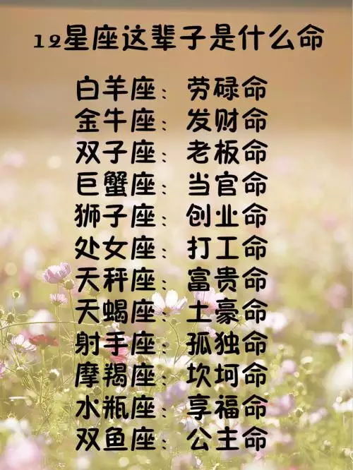 1、二个字带财运网名:带财运的微信名字