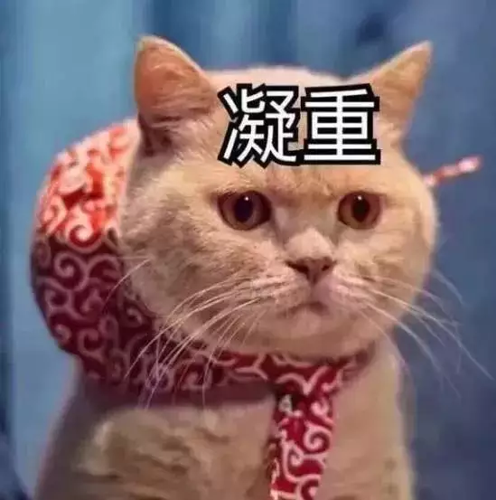 1、猫咪地域网名:猫咪小屋离线怎么看？