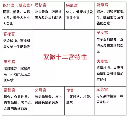 4、斗数免费命理分析:免费命盘算命