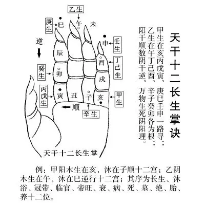 6、时柱看子女有出息口诀:四柱八字如何看子女信息？