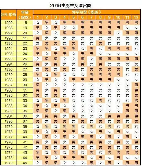 4、原来生男生女早就注定:生男生女是注定的吗