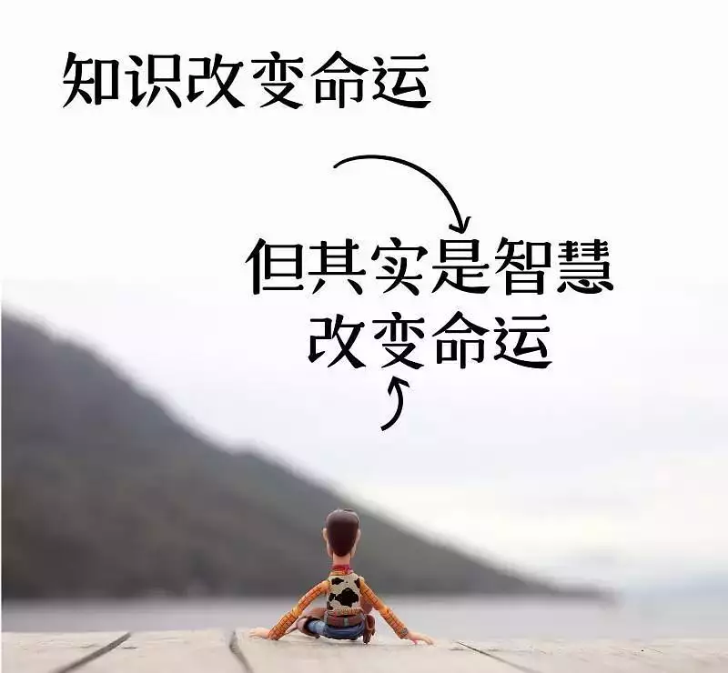 3、看看自己的命运:看看自己的命运