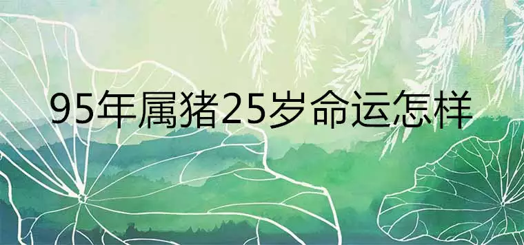 2、95年属猪的姻缘晚婚:95年属猪的结婚年龄