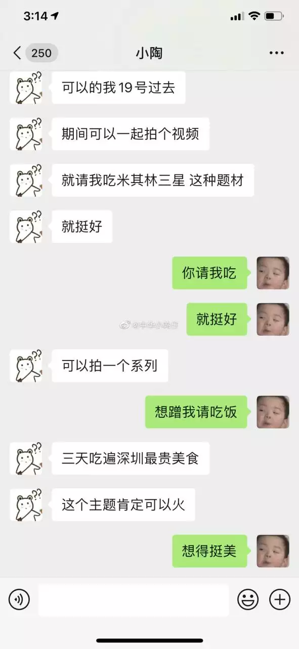 1、陶白白个人信息:会为了我去陶白白是什么梗？