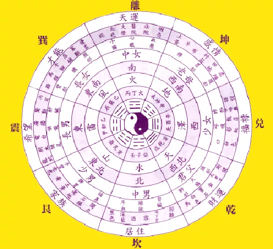 10、您好，帮我算算八字，女，阴历，子时，八字硬不硬？跟巳时八字合吗？