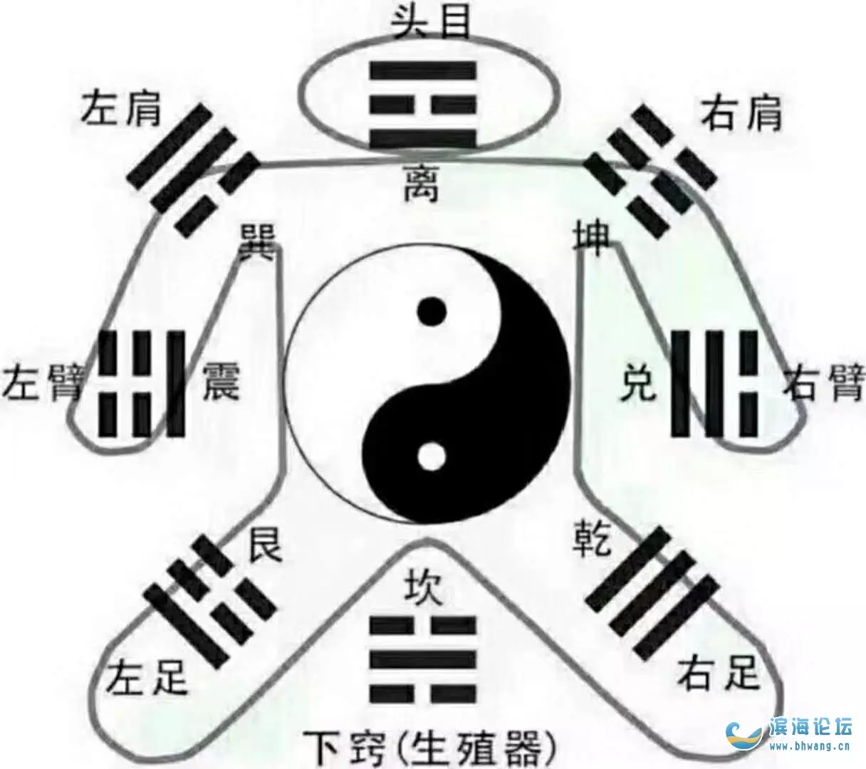 5、合婚多少分:八字合婚多少分好