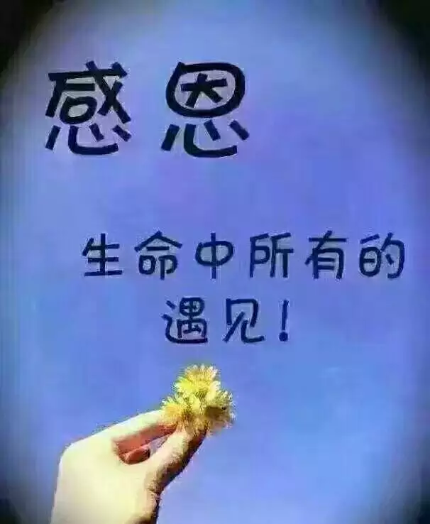 2、缘分的概念是什么:缘分的概念是？