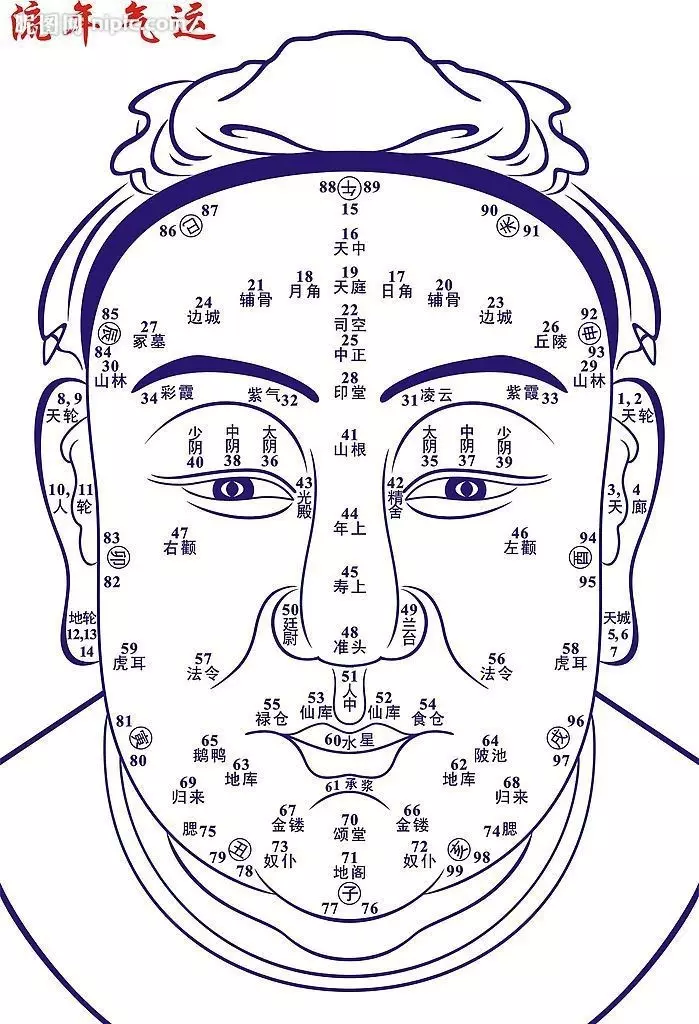 1、斗数，我发现这两个人的命盘很相似，难道他俩是注定的两口子吗？