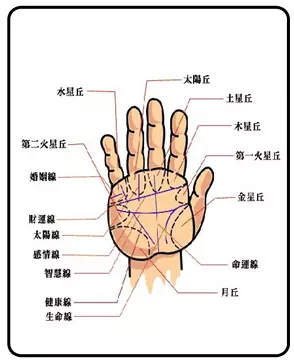 4、在线看手相算命软件:女性手相算命软件？