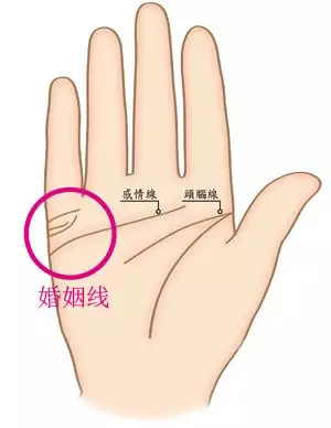 4、怎么看一个人的姻缘线:如何看手相婚姻线